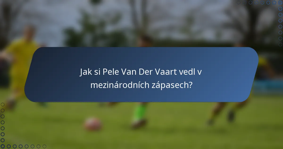 Jak si Pele Van Der Vaart vedl v mezinárodních zápasech?