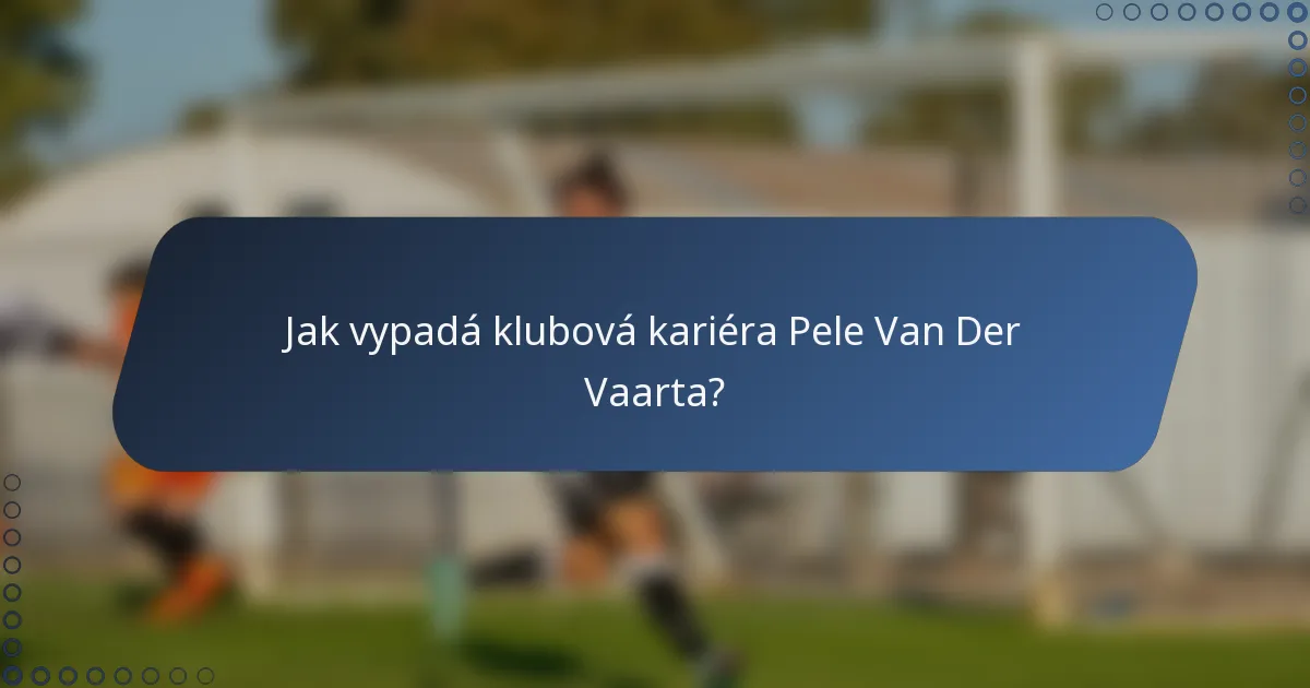 Jak vypadá klubová kariéra Pele Van Der Vaarta?