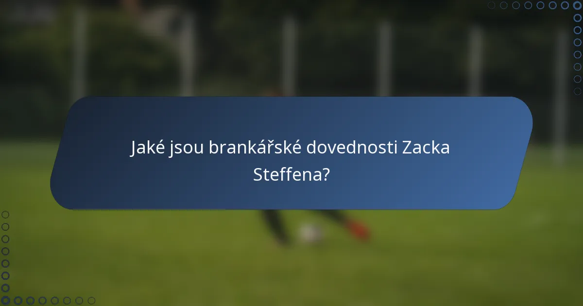 Jaké jsou brankářské dovednosti Zacka Steffena?